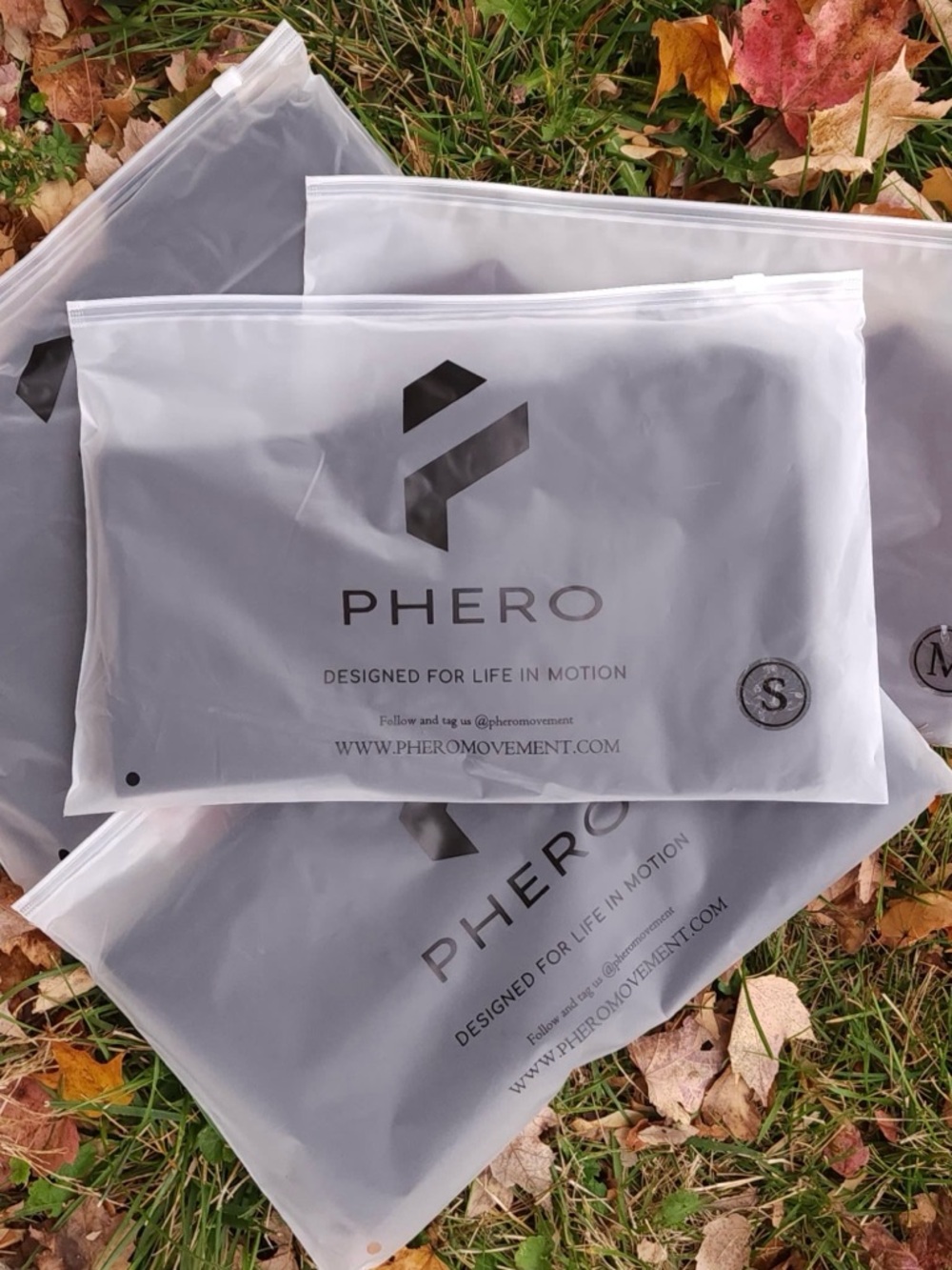 High-Rise Wide-Leg Pants in Chocolate Brown - Picture 5 of 6